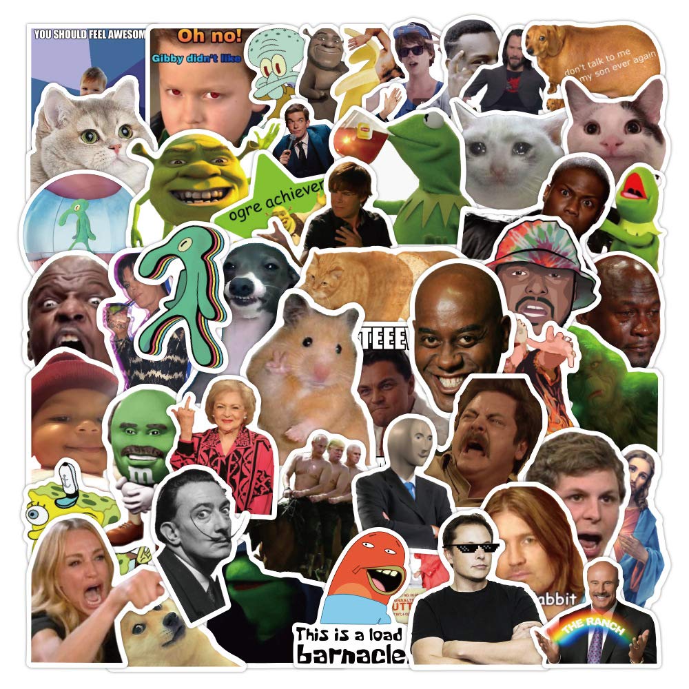 100pcs Funny Meme Vinyl Stickers Pack,DIY Decor for Bumper Wall Laptop,Water Bottles,Computer,Trendy Meme Stickers,Waterproof Vinyl Stickers for Adults,Teens,Boys,Girls,No Repetition