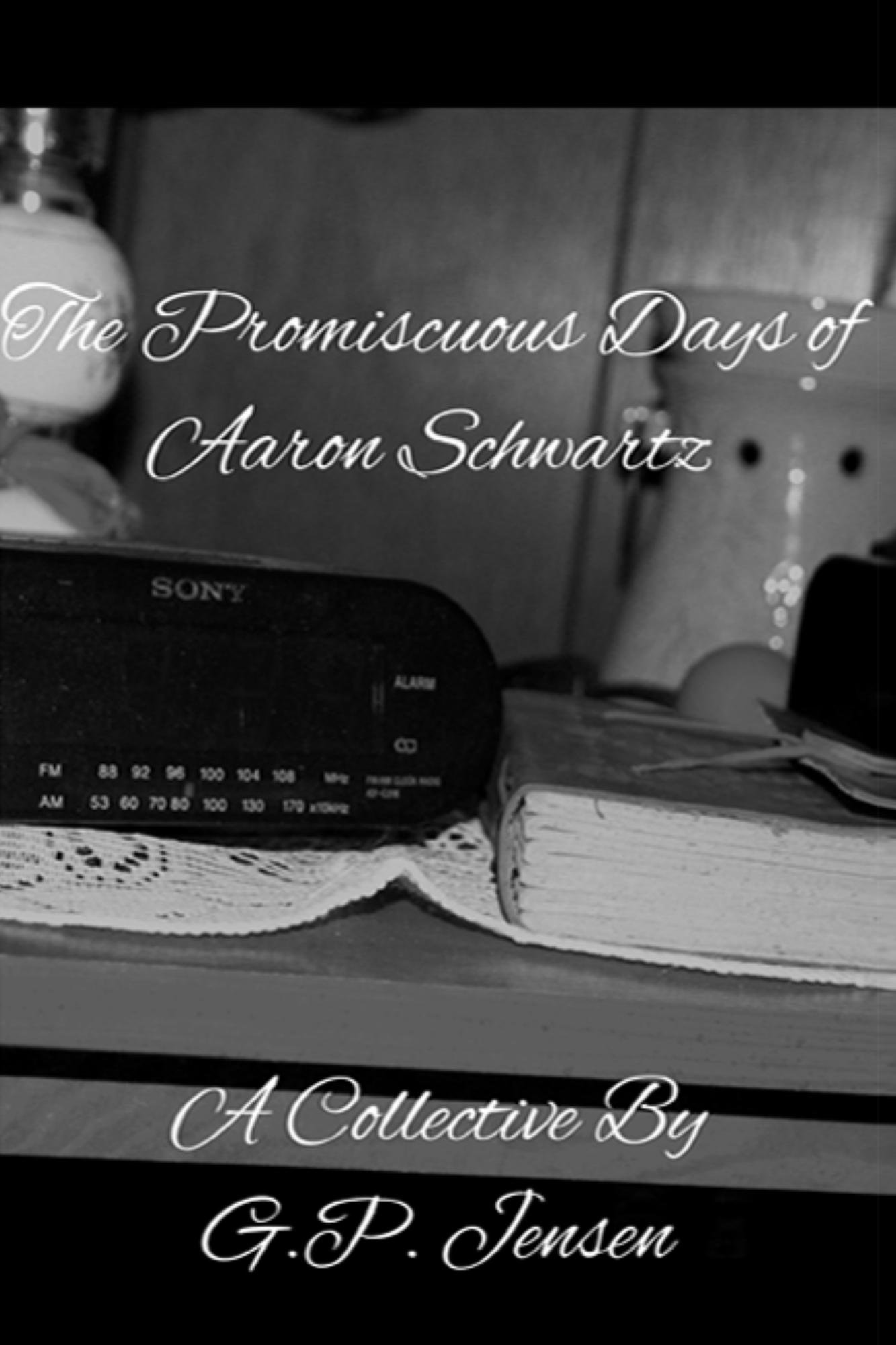 The Promiscuous Days of Aaron Schwartz