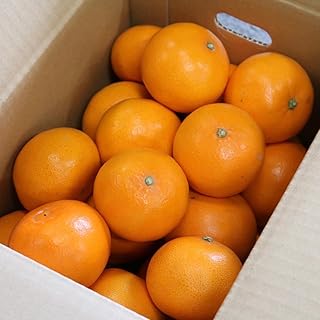 内芝ファーム みかん 「まごころ手選別」 せとか 秀品 3kg