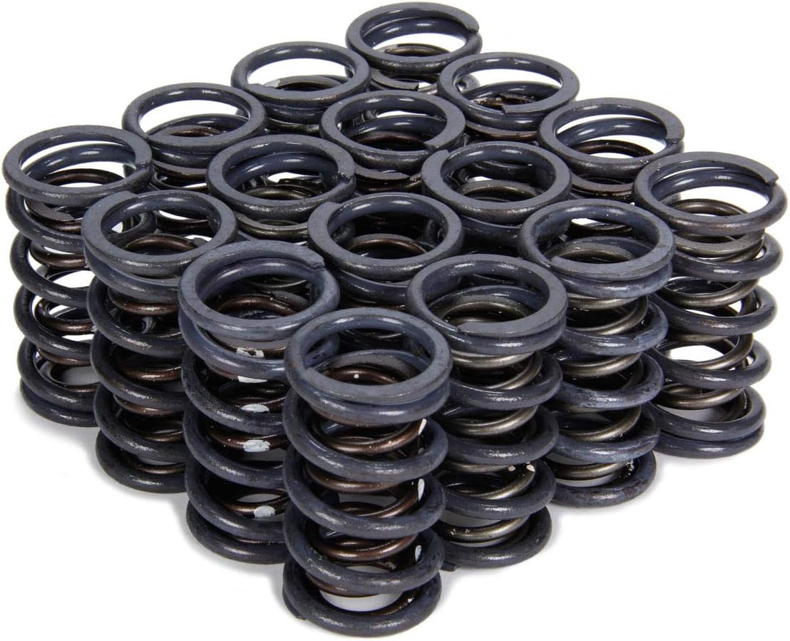 Isky Racing Cams4205 1.240 Dual Valve Spring, 1 Pack