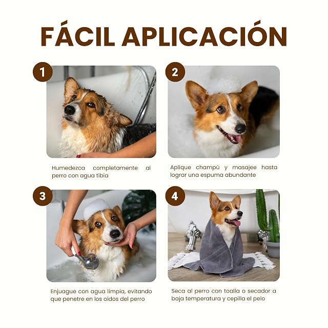 Foto 4 de 7 de PLANTAWA Champú Árbol de Té para Perros 1L