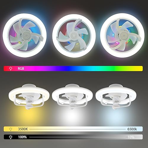 Miniatura 4 de Ventilador de luz E26, ventilador de techo de 11 pulgadas con luz, ventilador de techo oscilante LED RGB regulable con luces de control remoto de 3