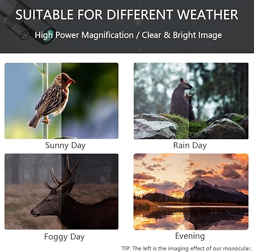 Miniatura 7 de Amblee Telescopio monocular con adaptador para smartphone y trípode (12 x 50)