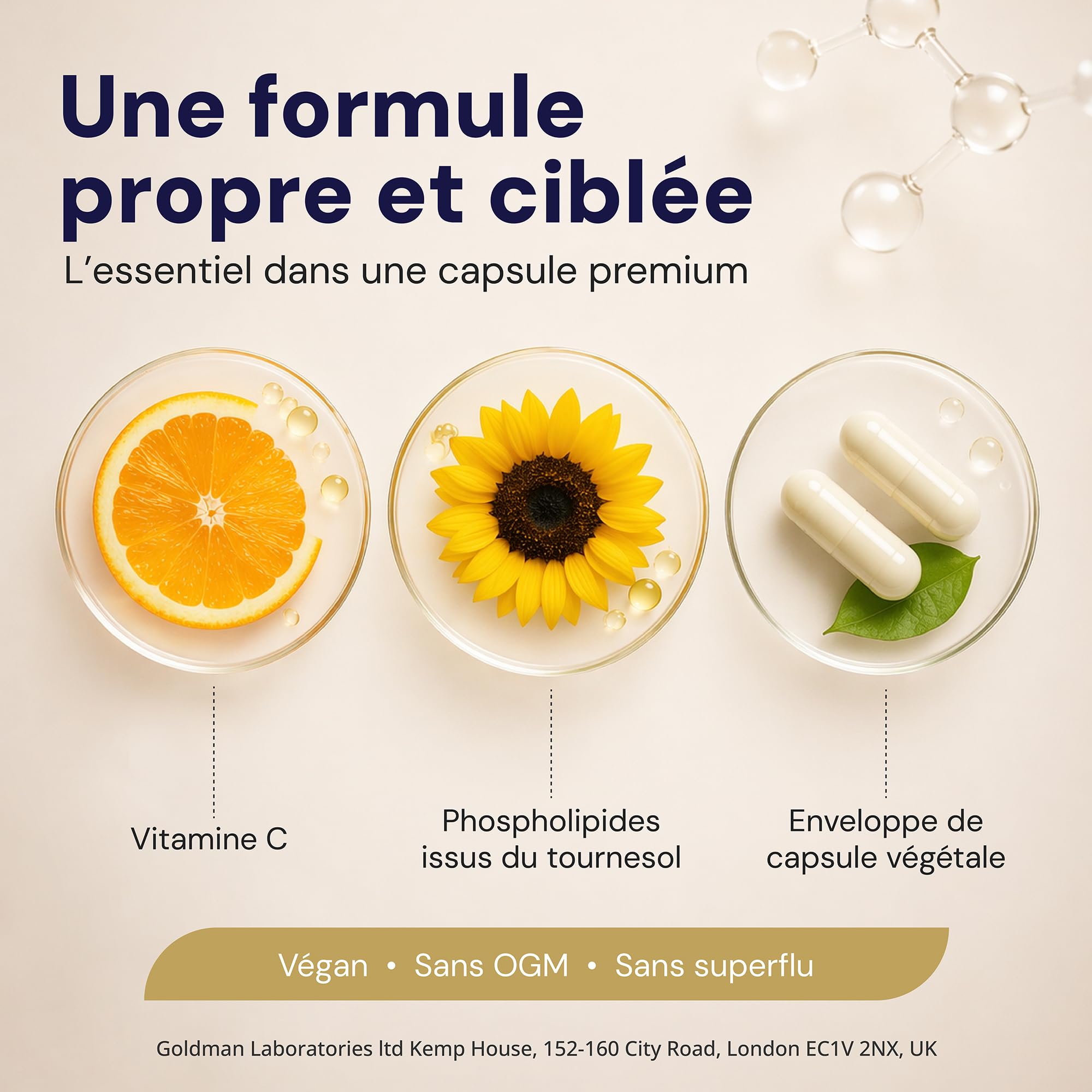 VITAMINE C LIPOSOMALE 500mg - Dose puissante Vitamine C I Encapsulée pour une biodisponibilité maximale I 100% non-OGM et végétalienne I Complément alimentaire - 60 Capsules Vegan
