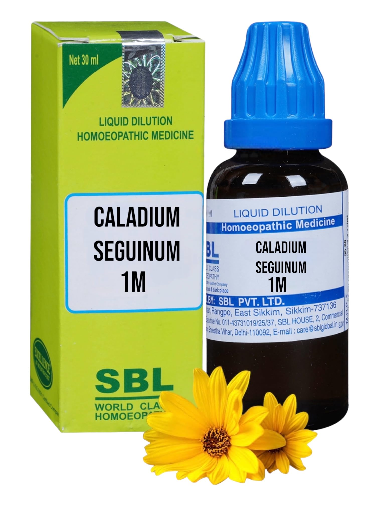 SBL Caladium Seguinum 1M Homeopathic Medicine - Set of 1 Bottle (B0D1VK8KJT) Amazon Price History, Amazon Price Tracker