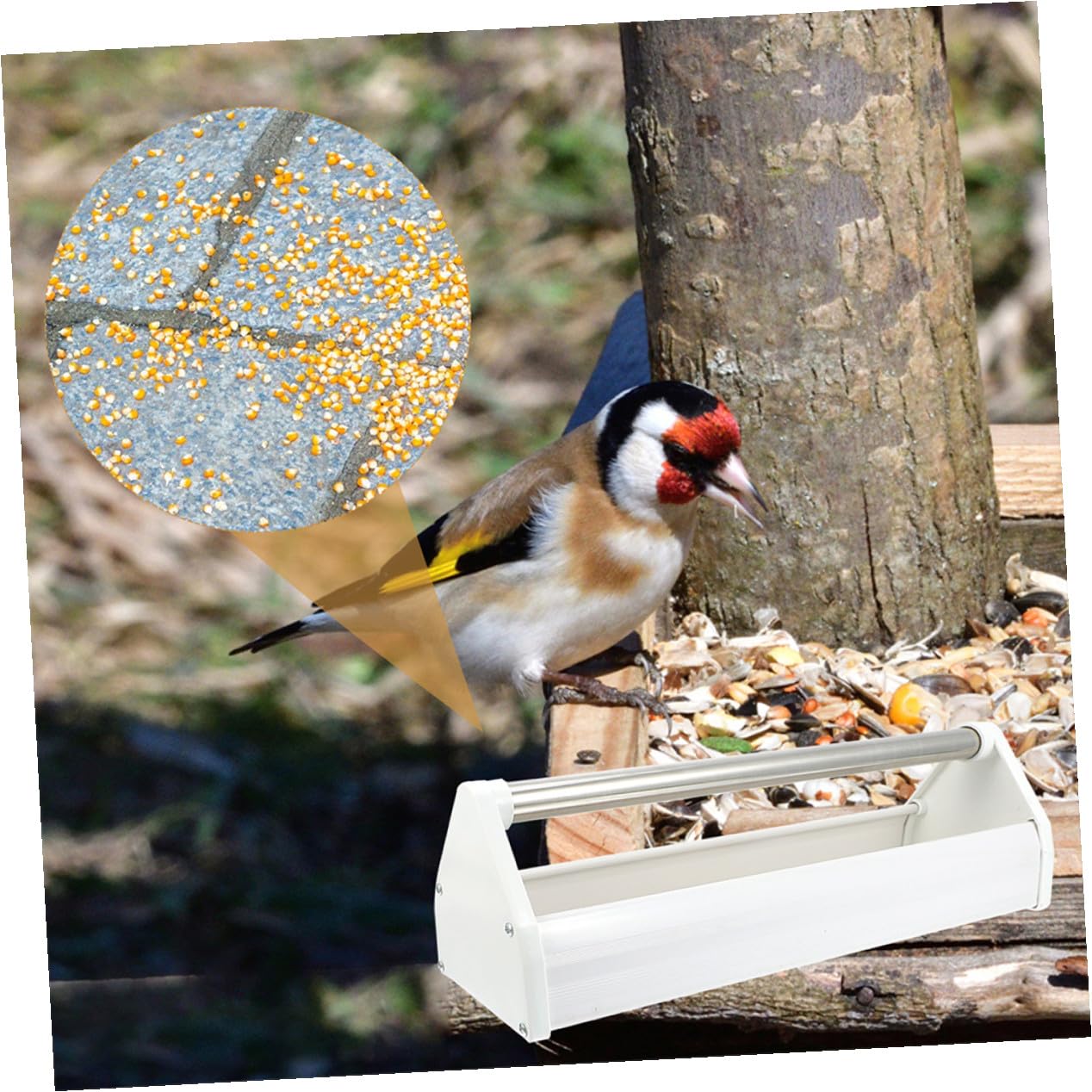 jojofuny Mangeoire à Pigeons 2 Pièces en Plastique Et Acier Inoxydable 40 Cm pour Oiseaux Petits Et Perruches Usage Extérieur Intérieur