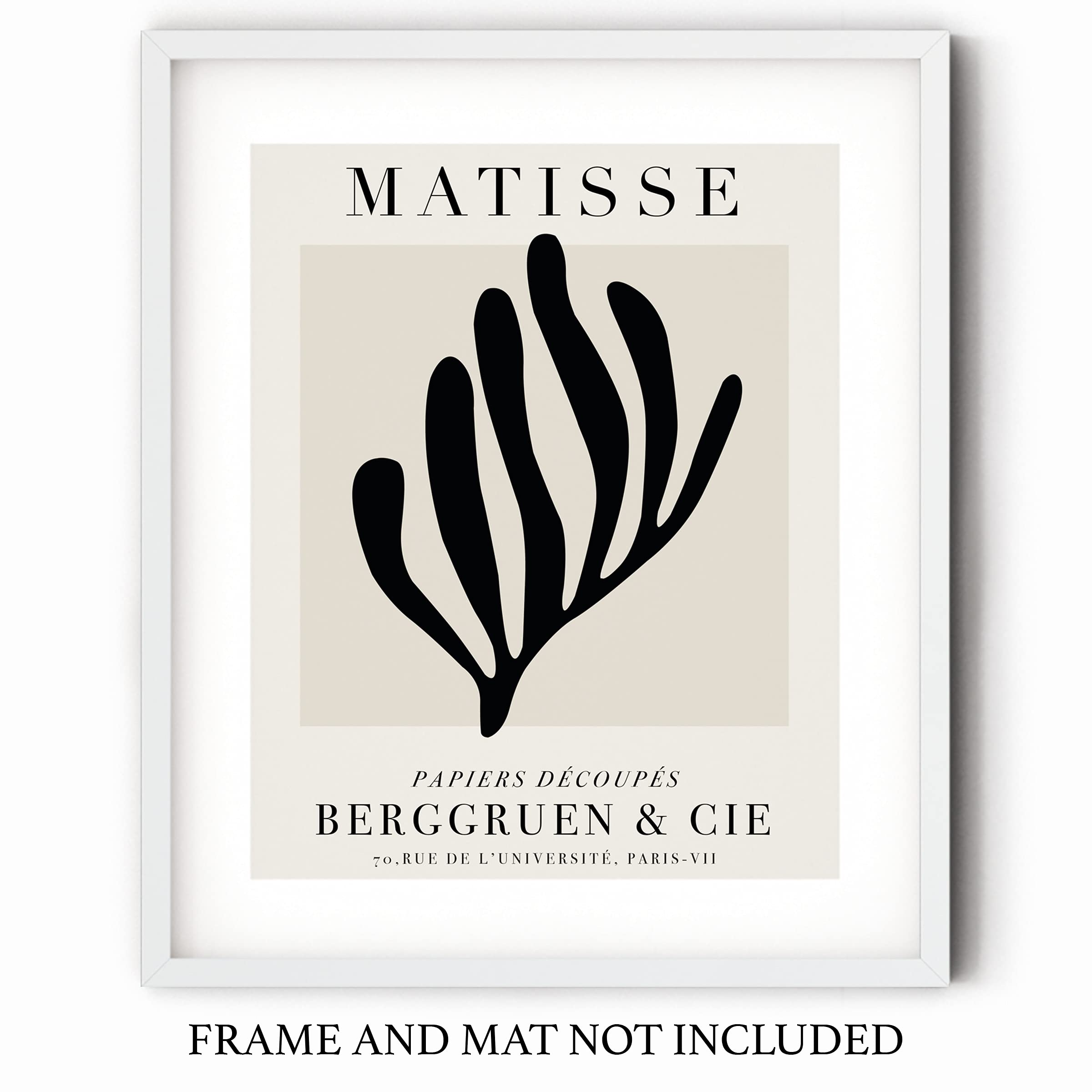 Amazon.com: Sage Light Design Co Matisse Paper Cut-Out Exhibition