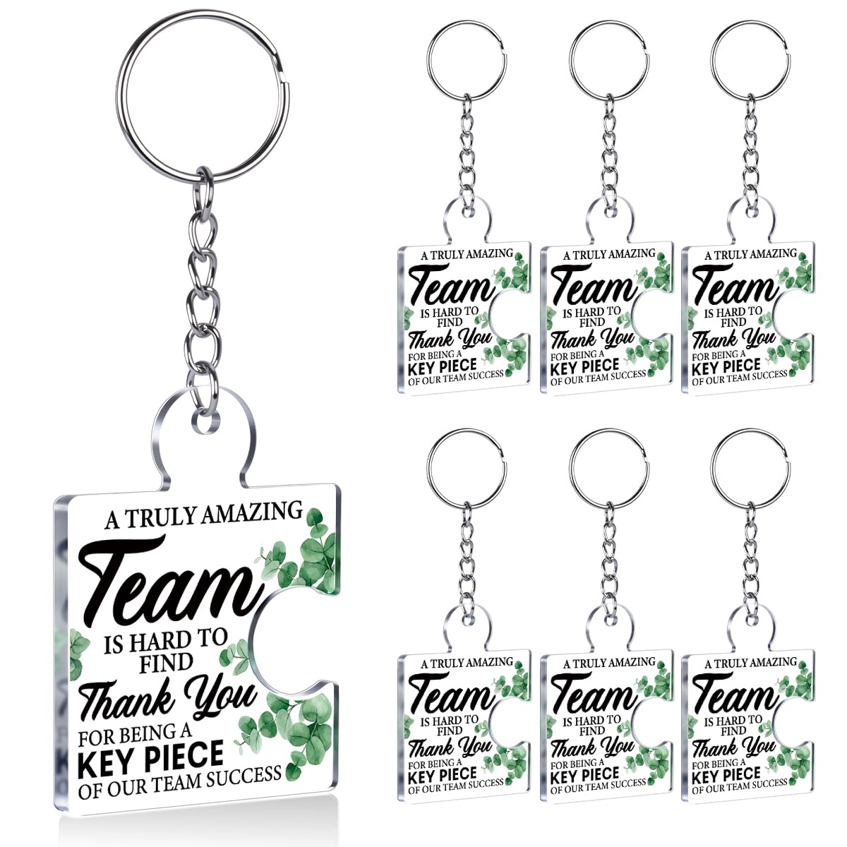 Team Appreciation Gifts Bulk Thank You Keychains for Coworkers