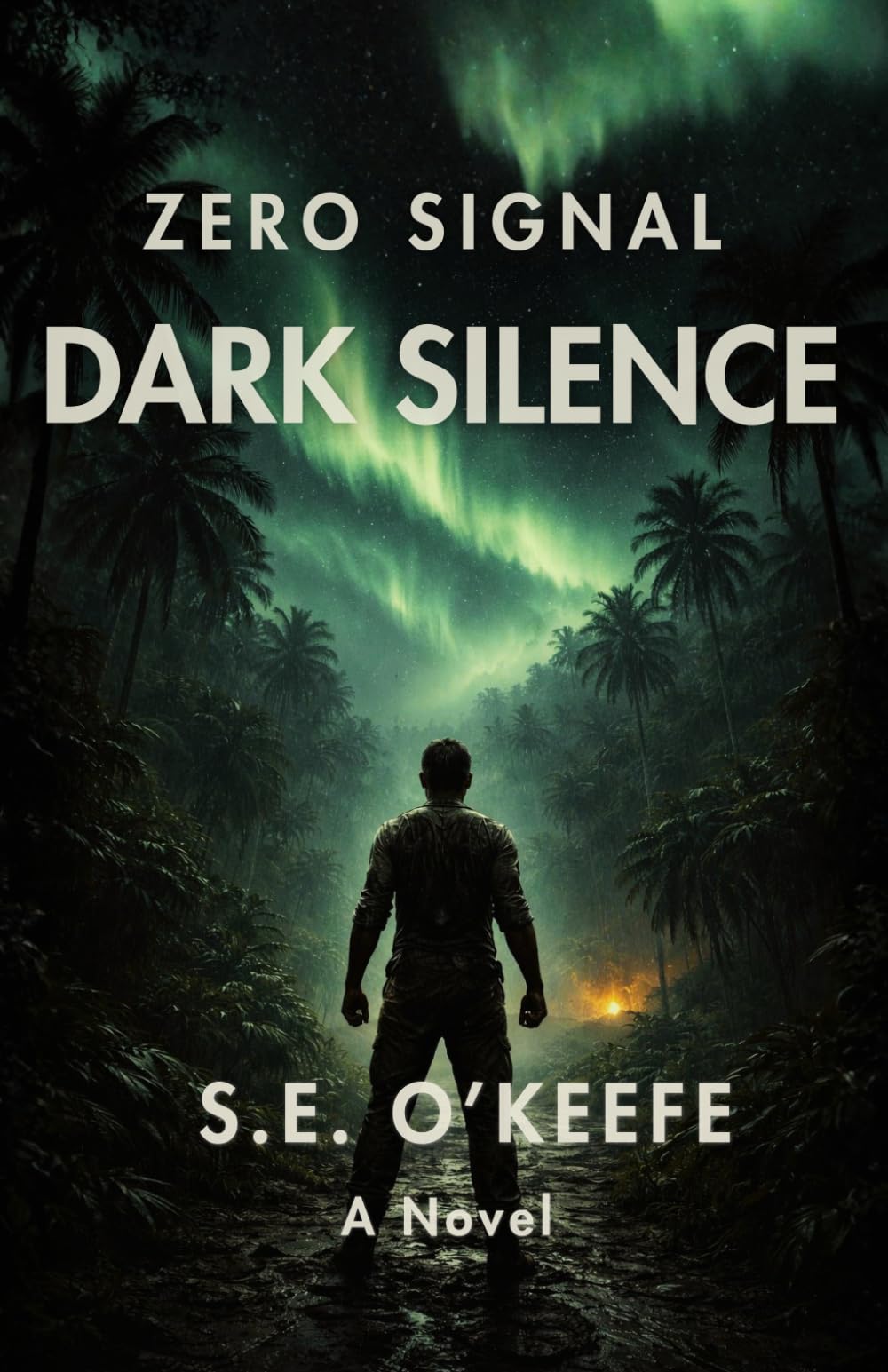 Zero Signal: Dark Silence: A Post-Apocalyptic Thriller