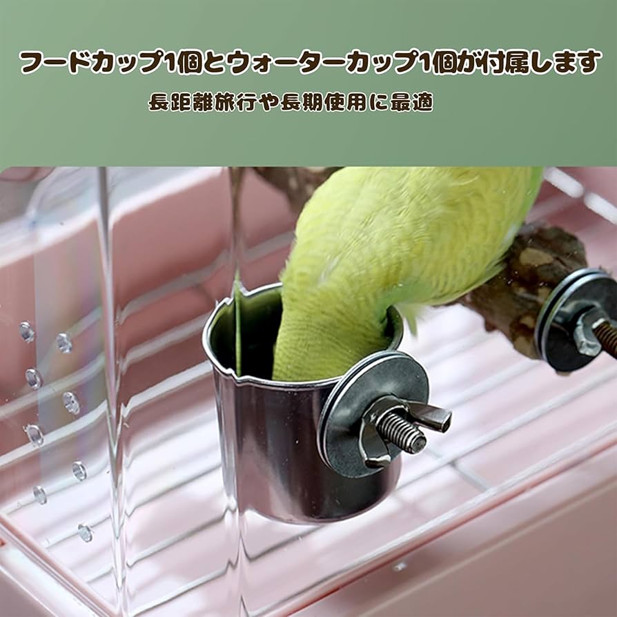 アクリル製 バードキャリー 9992252【BIRDMORE】withアクリルキャリーS・小中型用 鳥専門店