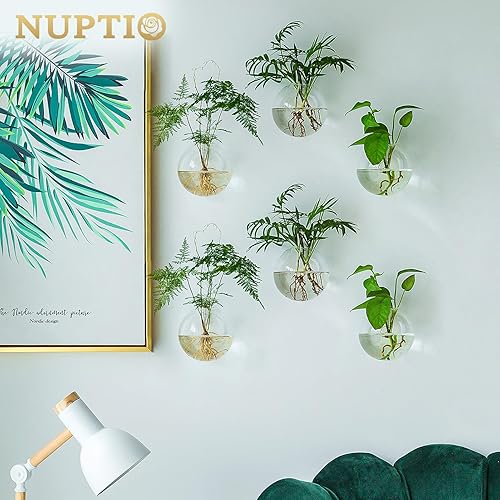 Vista 10 de NUPTIO Macetas colgantes de pared terrario: 4 jarrones de cristal transparente montados en la pared para interiores, oficina, jardín, sala de estar