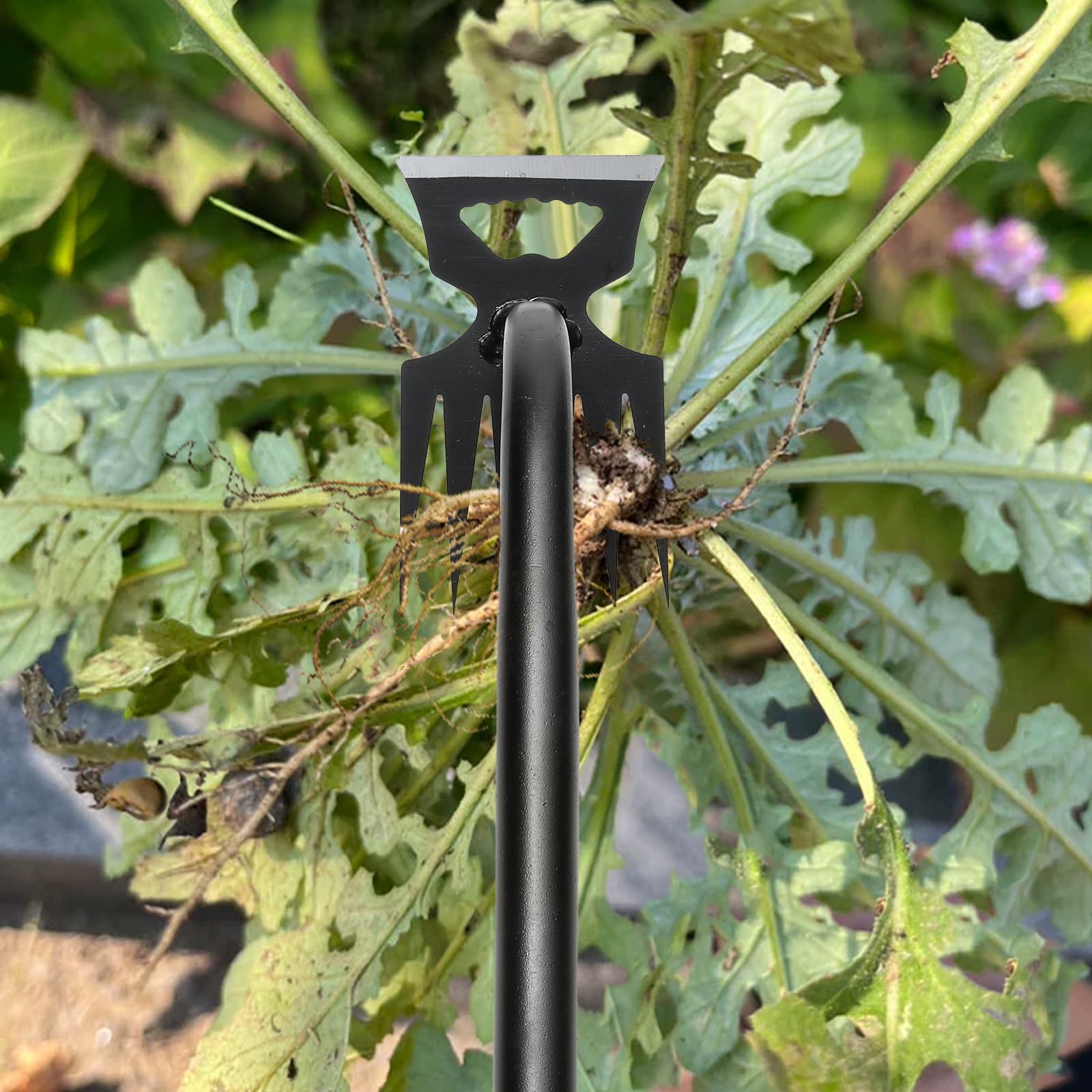 Attrezzi da giardinaggio a mano, diserbo artefatto per sradicamento, strumento per diserbo in acciaio al manganese, strumento manuale multifunzionale per giardinaggio per cortile e giardino (6 denti)