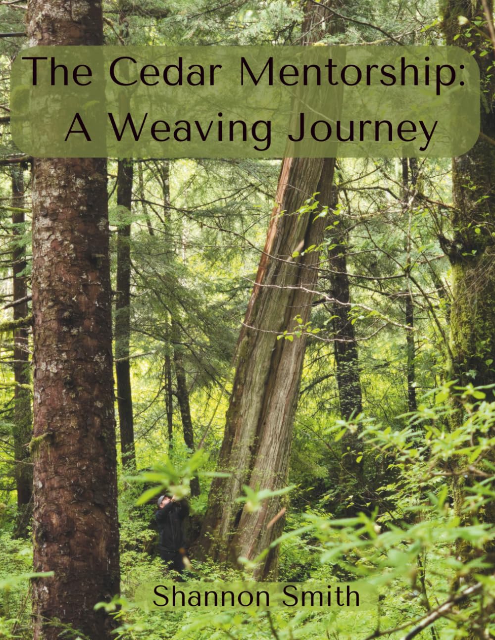 The Cedar Mentorship: A Weaving Journey