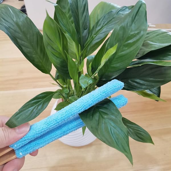 Handheld Leaf Lint Cleaner, Portable Reusable Brush, Garden Tool for Plant Leaves, Eco Friendly Indoor and Outdoor Cleaning, for Balcony Patio Lawn Grassland, Garden Maintenance and Home Care - 3