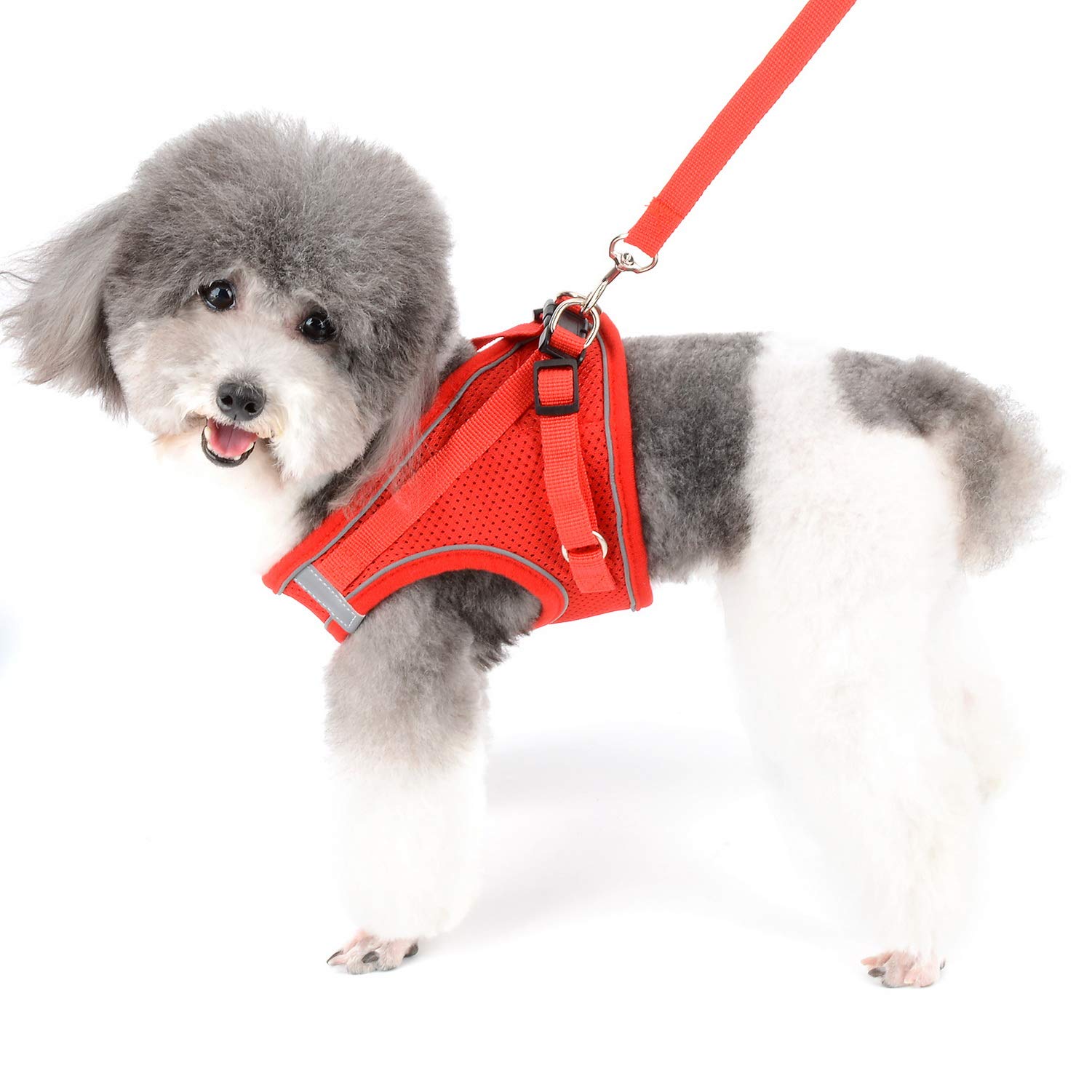 Pettorina E Guinzagrio Zunea Per Cani Piccoli - Velluto Riflettente, Regolabile - Per Cuccioli, Chihuahua, Gatti - Foto 13