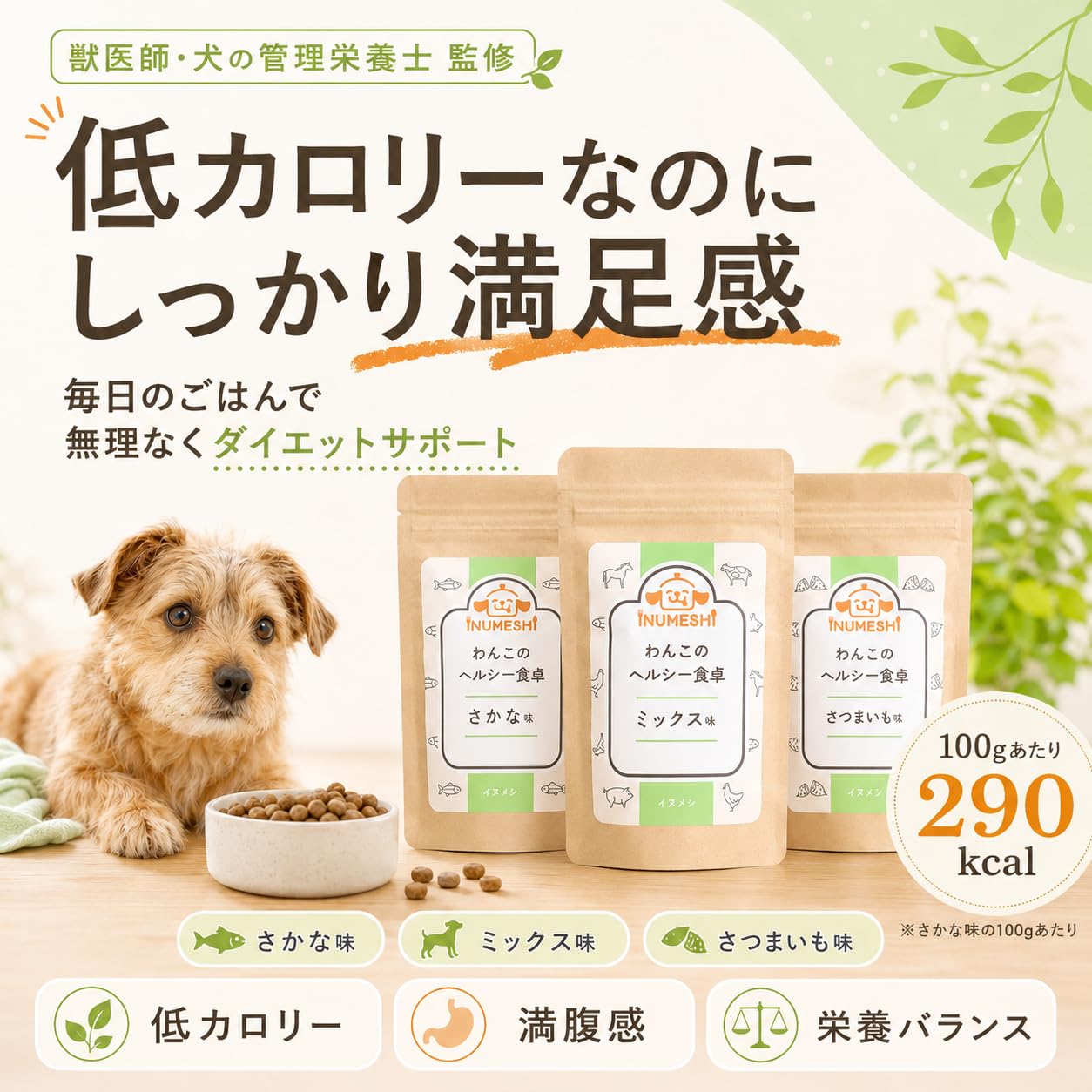 わんこのヘルシー食卓 inumeshi さかな味 1kg ×3 公式】わんこの 