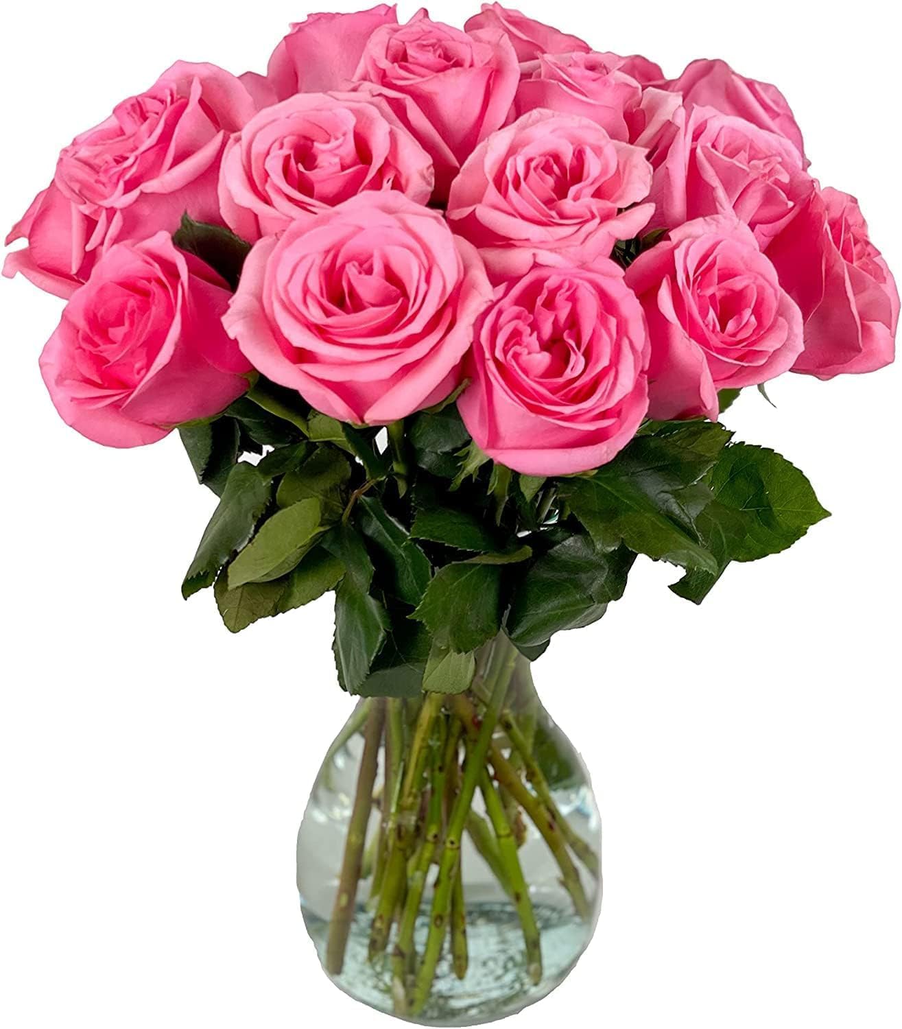 1 Meter Roses Amazon.com : From You Flowers - One Dozen Long Stemmed Red Roses with ...