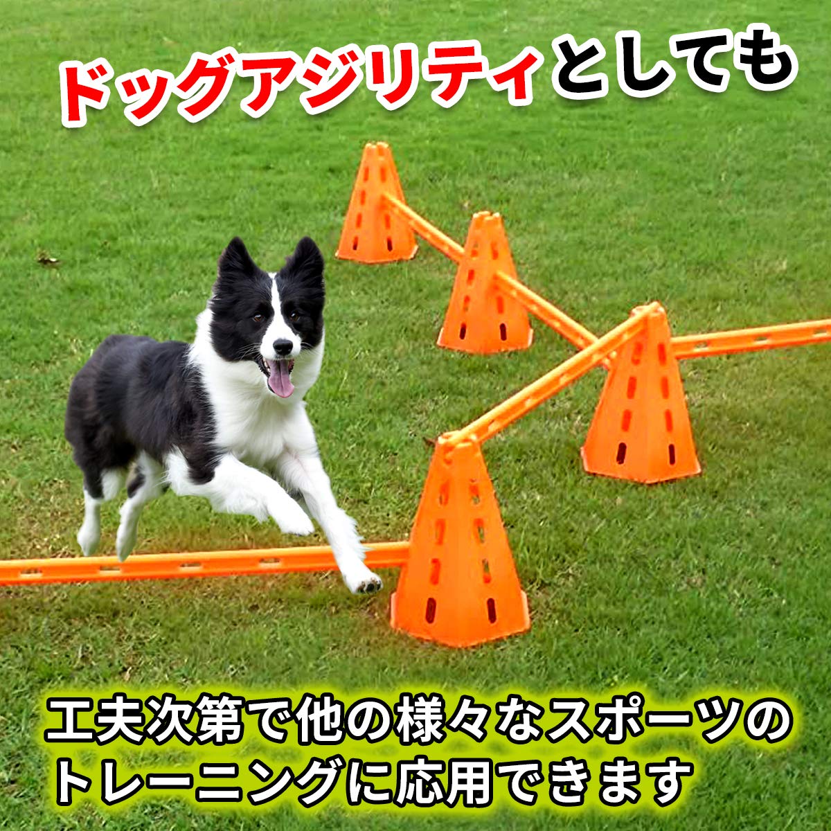 アジリティ　犬　レギュレーター Amazon | miyon ドッグアジリティ アジリティ 犬 犬用品 多機能