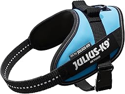 Julius-K9, 16IDC-AM-M, IDC Powerharness, dog harness, Size: Mini, Aquamarine