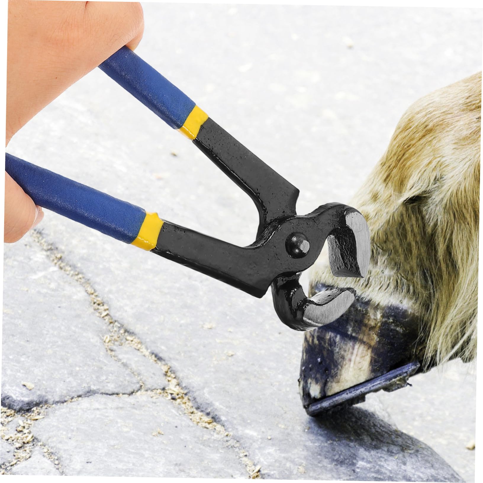 Sosoport Horseshoe Trimmer Hoof Nippers Goat Sheep Hoof Trimmer Sturdy Metal 20cm Safe for Long-time Use