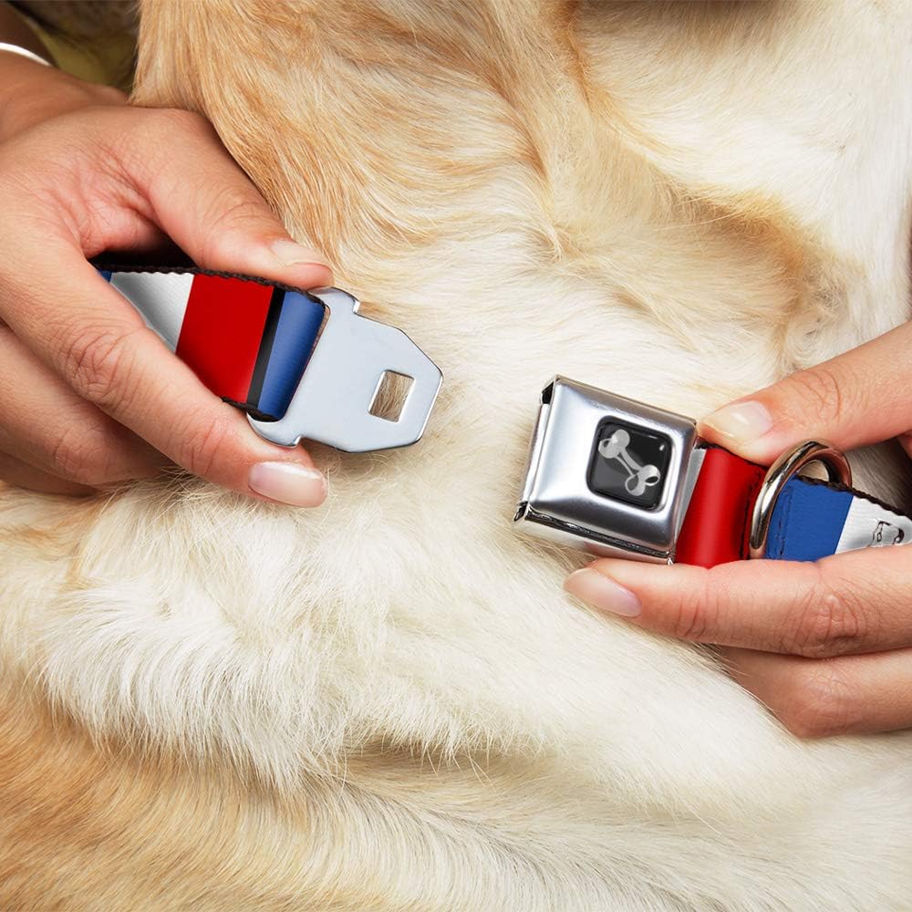 Buckle-Down Seatbelt Buckle Dog Collar - France Flags - 1" Wide - Fits 15-26" Neck - Large