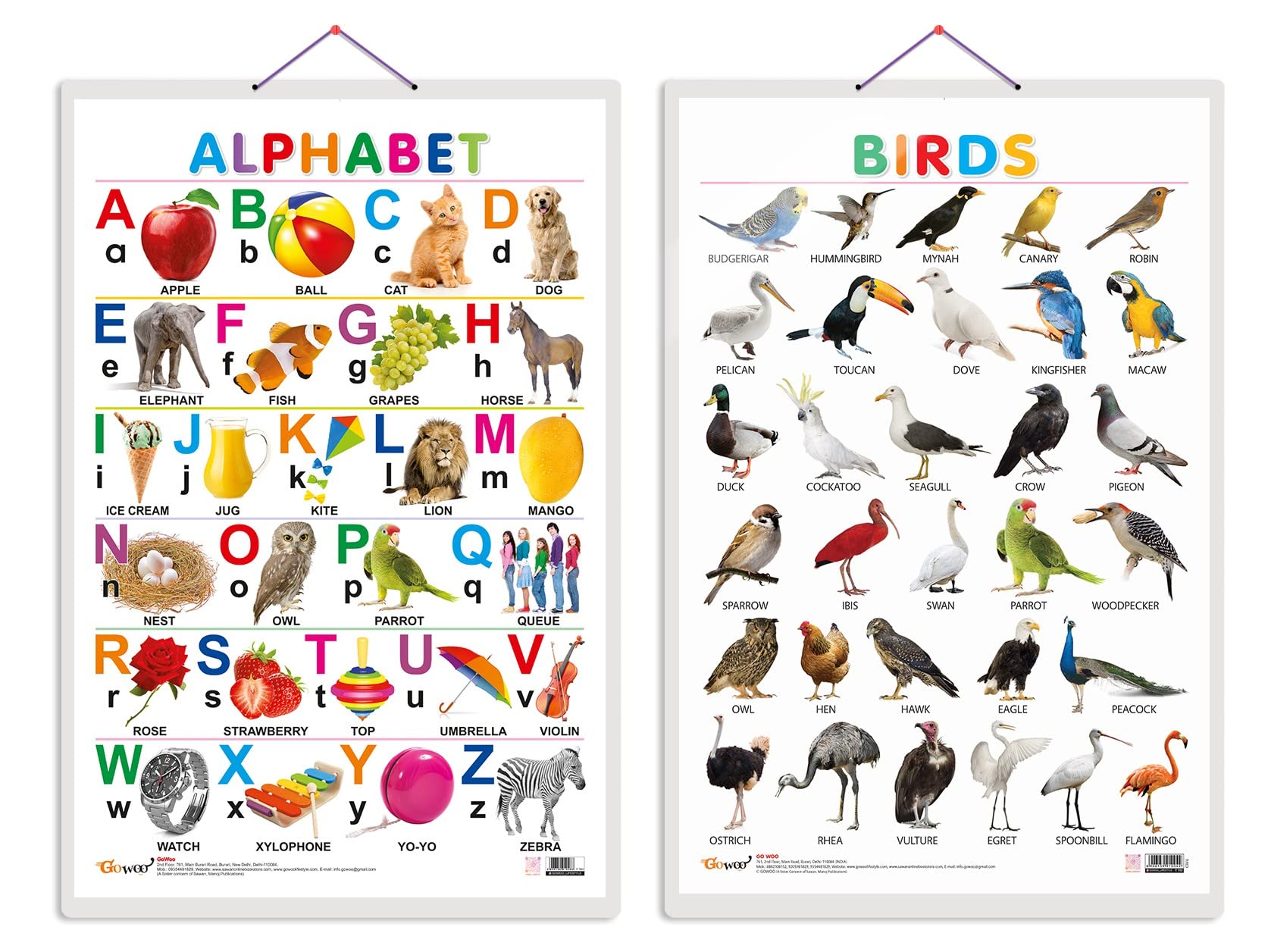 Set of 2 Alphabet and Birds Early Learning Educational Charts for Kids | 20"X30" inch |Non-Tearable and Waterproof | Double Sided Laminated | Perfect for Homeschooling, Kindergarten and Nursery Students (B0BWFPP7NQ) Amazon Price History, Amazon Price Tracker