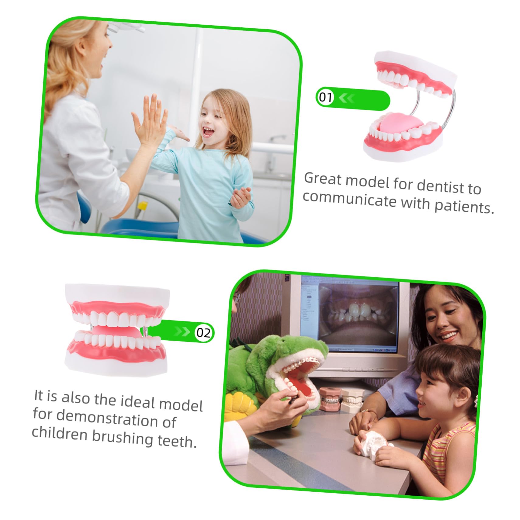 Modello Dentale Ingrandito 6x in Pvc Bianco con Spazzolino | Uso Didattico per Ragazzo Ragazza, Forma Creativa, per Insegnare la Pulizia Orale