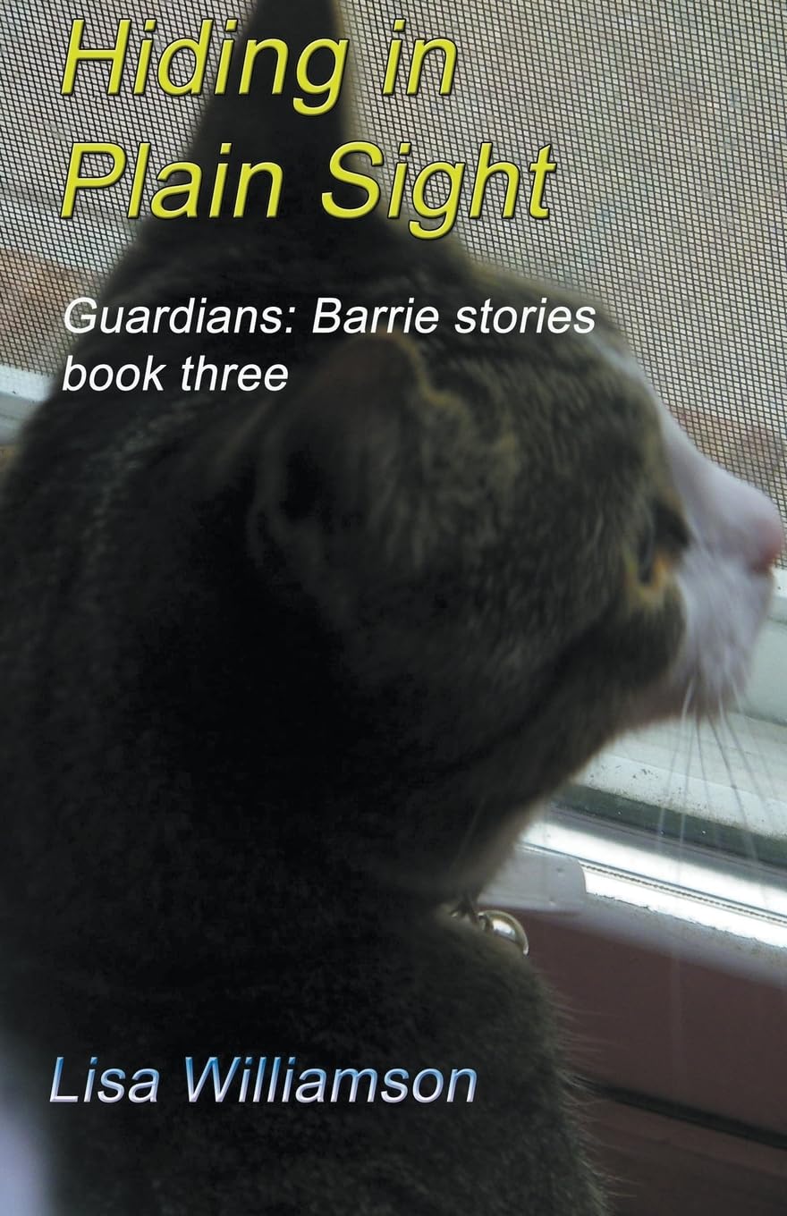 Hiding in Plain Sight: 3 (Guardians: Barrie Tales)