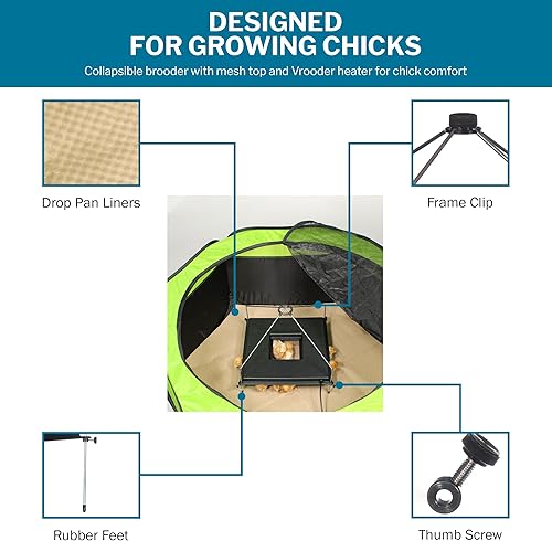 Miniatura 5 de Incubator Warehouse Insta Brooder con placa calefactora Vrooder - Corralito desplegable de pollo con parte superior de malla extraíble - Pluma de