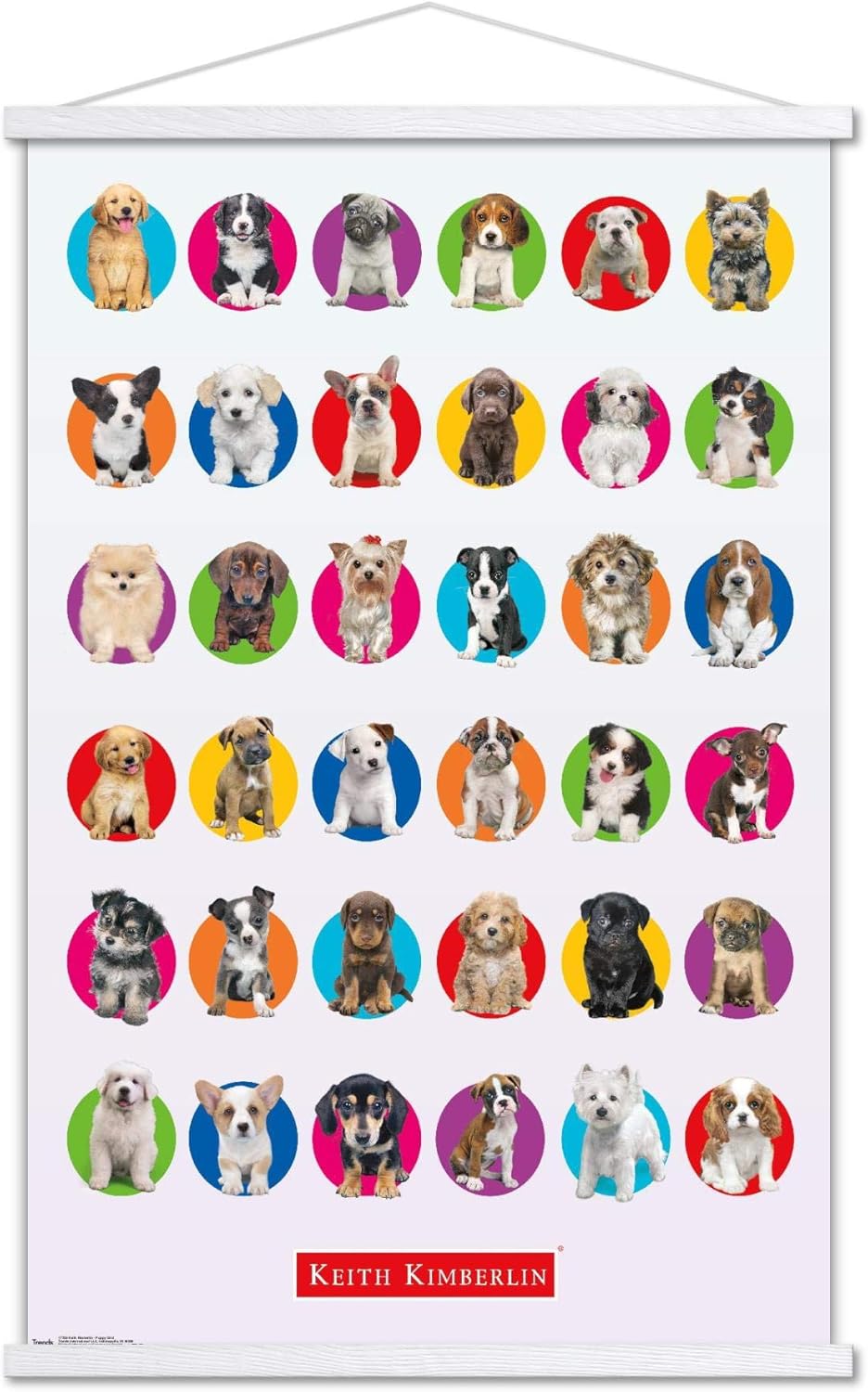 Trends International Keith Kimberlin - Puppy Grid Wall Poster, 22.375" x 34", Print and White Hanger Bundle
