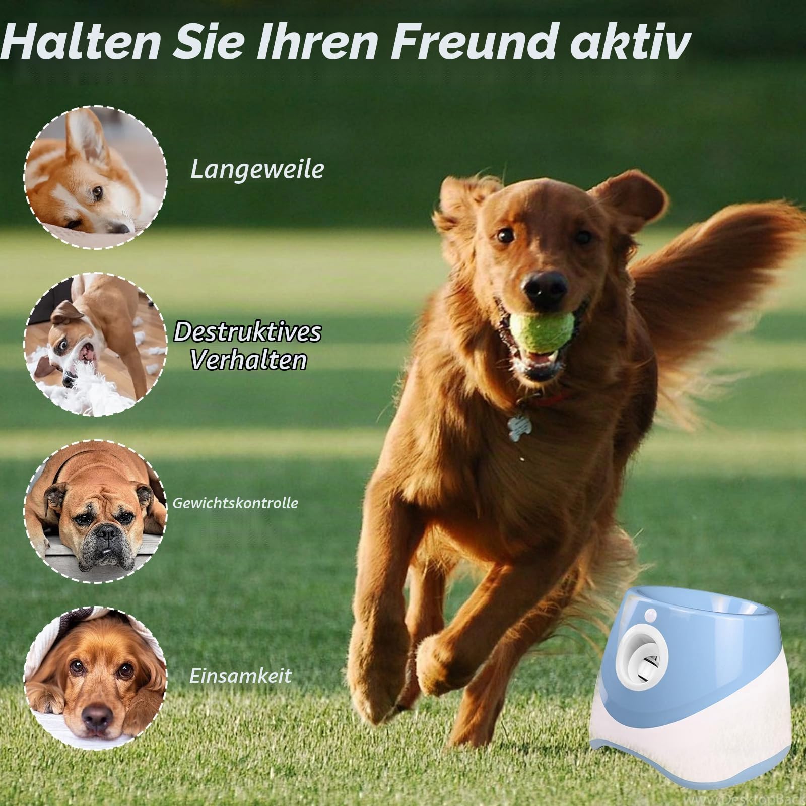 Ballwurfmaschine für Hunde, Ballmaschine Hund mit 6 Tennisbälle, Ballwurfmaschine Hund mit 3 Distanzstufen (3-9M), Interaktive Ballmaschine für Kleine und Mittlere Hunde