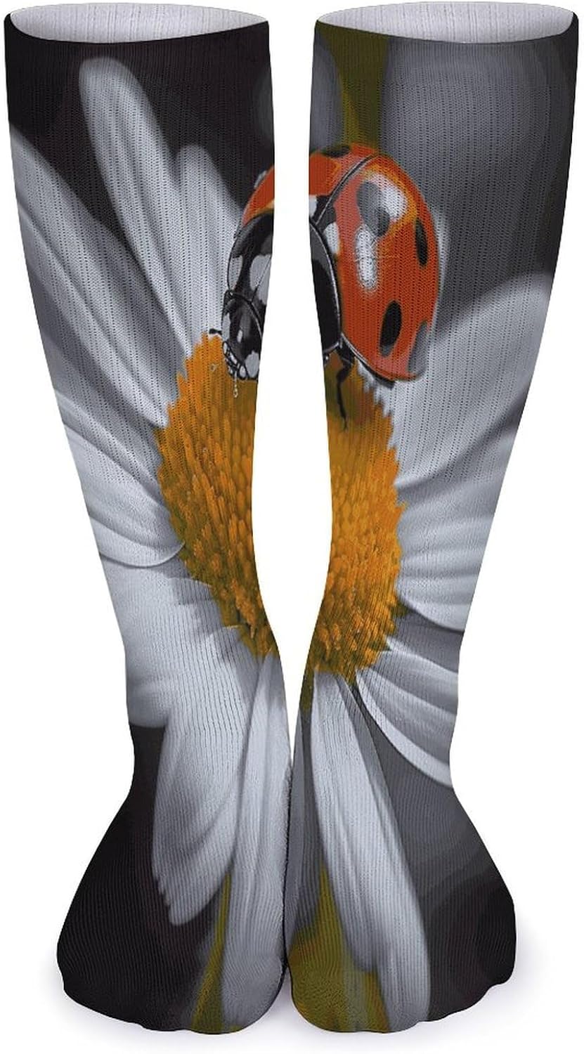 Ladybug Daisy Knee High Socks Cozy Knee High Socks Soft Mid-Length Sock for All Seasons Daily Wear Adult