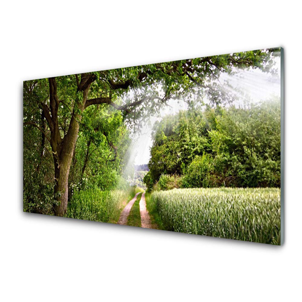Impression sur Verre Acrylique Tulup 100x50cm Les Arbres Nature