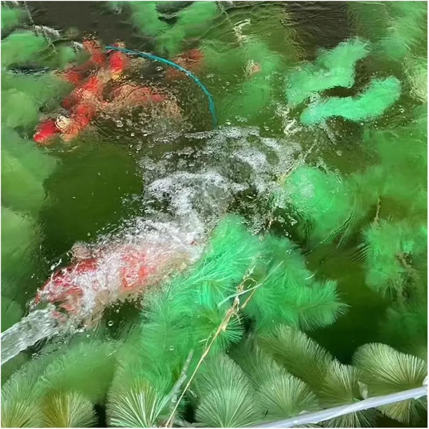 4pcs 60/100cm Koi Fish Pond Filter Hatching Grass Brush Breeding Goldfish Spawning Incubator Aquarium Clean Tool(100cm)