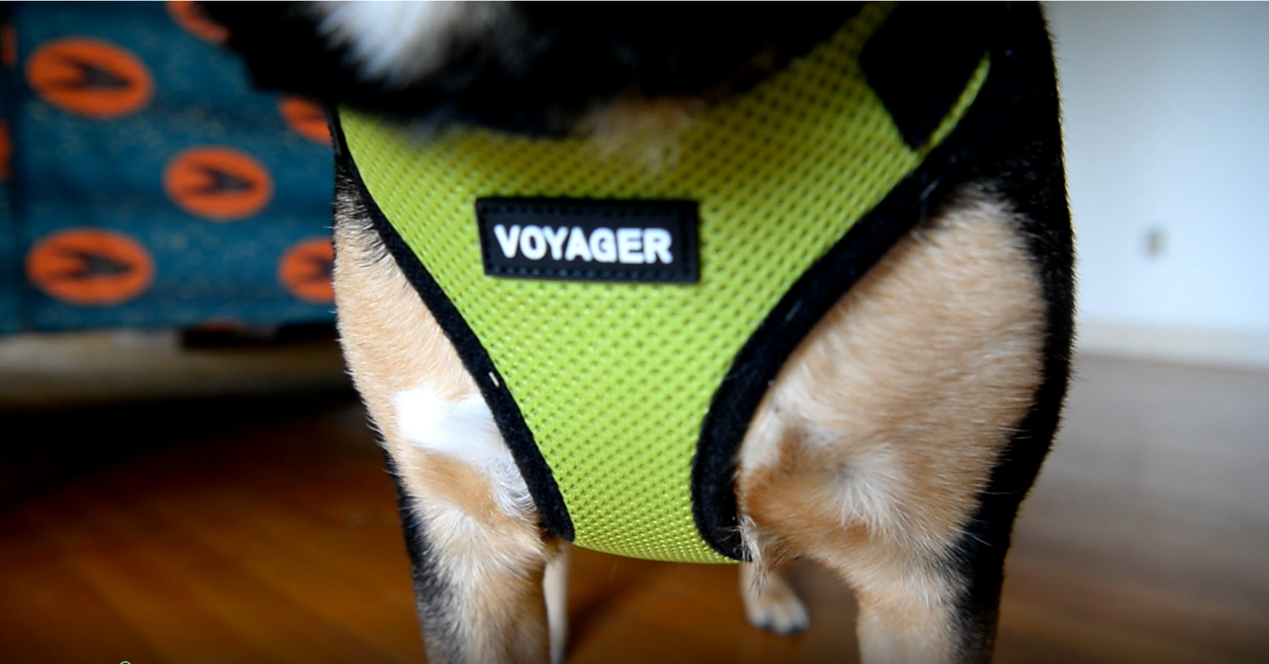 Voyager Step-in Lock Pet Harness - All Weather Mesh, Adjustable Step in Harness for Cats and Dogs by Best Pet Supplies… - Image 8