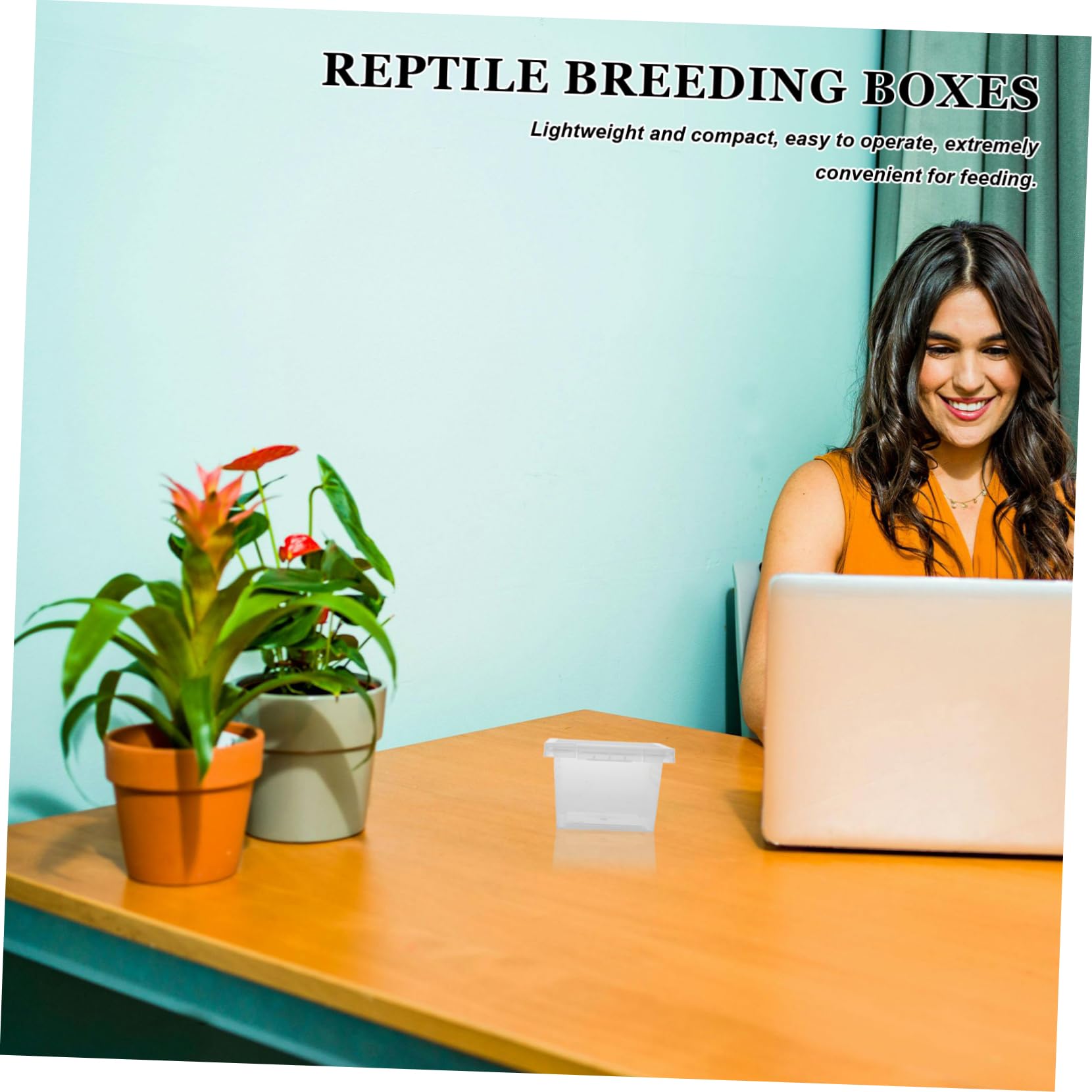 BESPORTBLE Caja de Cría Transparente para Reptiles 100 Piezas PP | Contenedor Compacto, Lote de 100 Unidades, , para Terrario y Accesorios