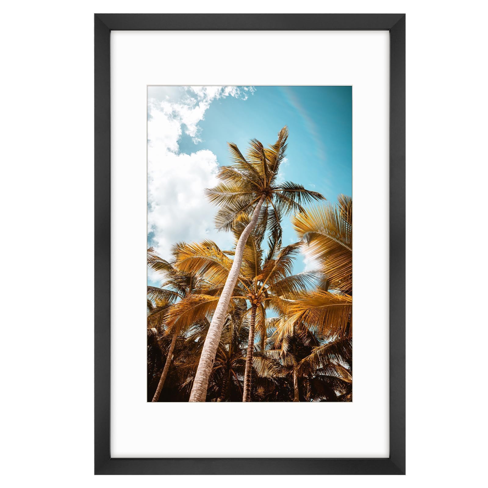 Frametory 16x24 Black Picture Frame with Real Glass Mat for 12x18