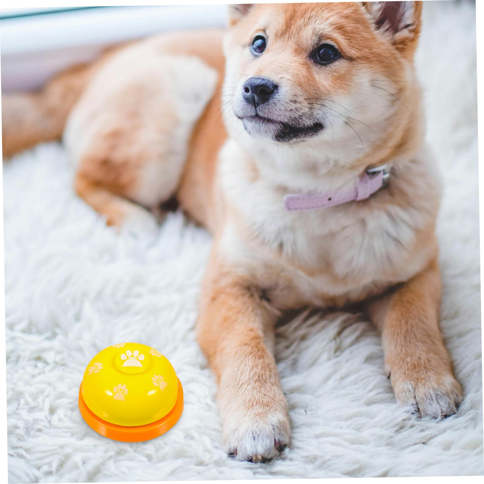 COLLBATH 4pcs Pet Training Press Bell Portable Dog Bells for Potty Easy to Use Puppy Training Tool