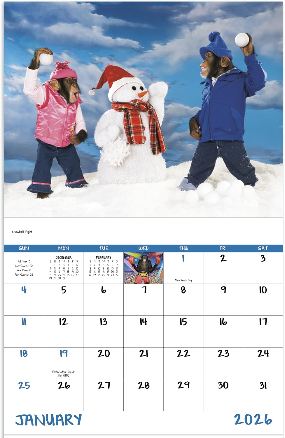 Monkey Mischief Funny 2026 Hanging Wall Calendar - 19" x 11" (Open) 2026 Monthly Appointment Planner and Organizer. Silly monkeys that make each month humorous. image 2