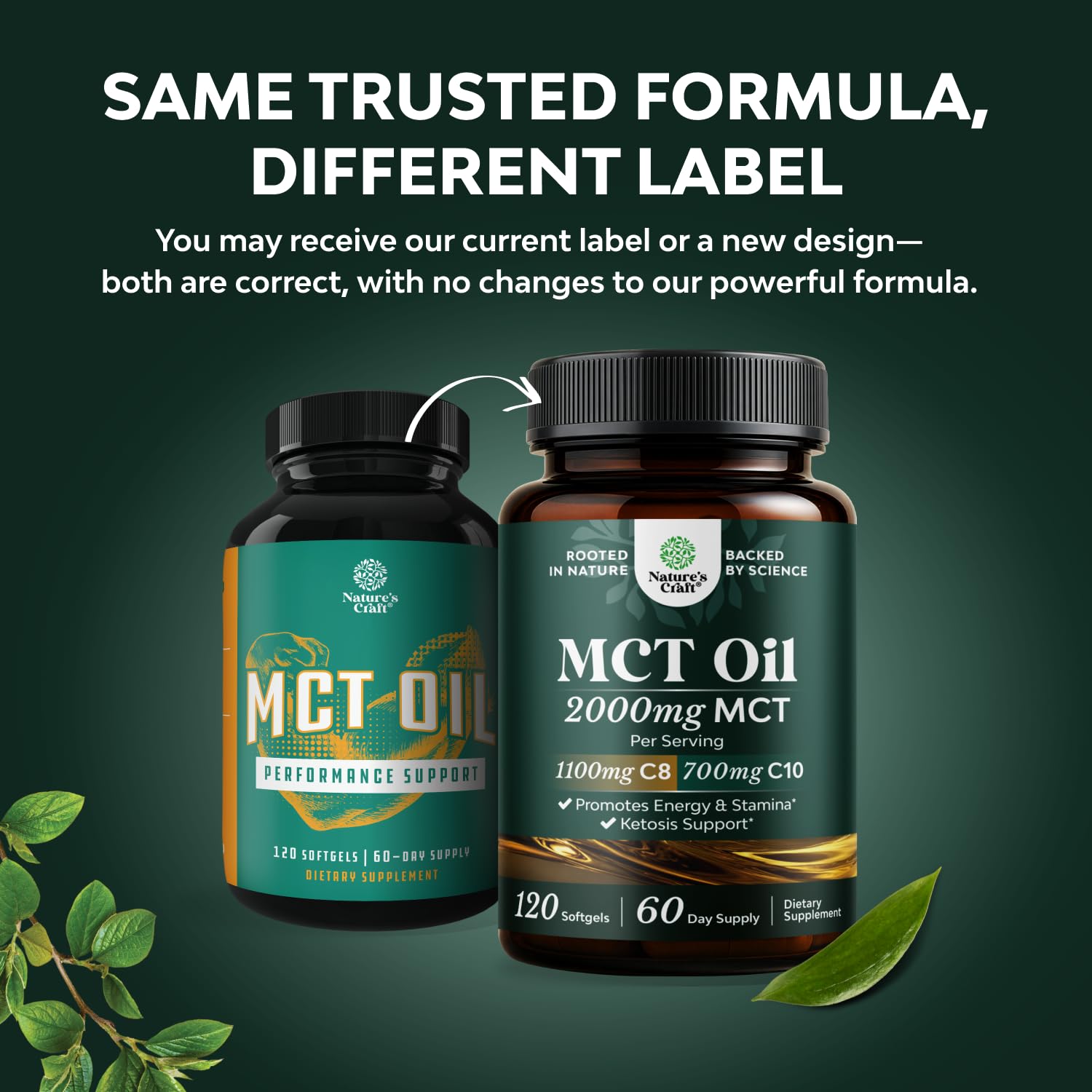 C8 MCT Oil Capsules with Coconut Oil, Dietary Supplement - 120 Count — Amazon image 2