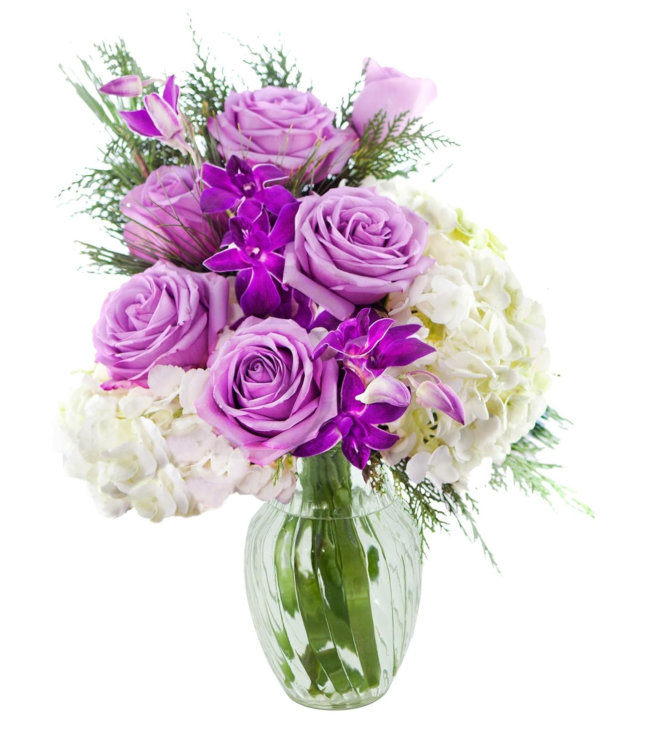 KaBloom - Bouquet of Purple Roses,White Hydrangea,Purple Orchids and Greens with Vase - Fresh Flowers for Birthday, Valentine's & Mother's Day: KaBloom Flowers -Valentine's Day Collection - Purple Rose, White Hydrangea, Purple Orchid and Greens with vase, Gift for Birthday, Sympathy, Anniversary, Get Well, Valentine, Mother’s Day Flowers