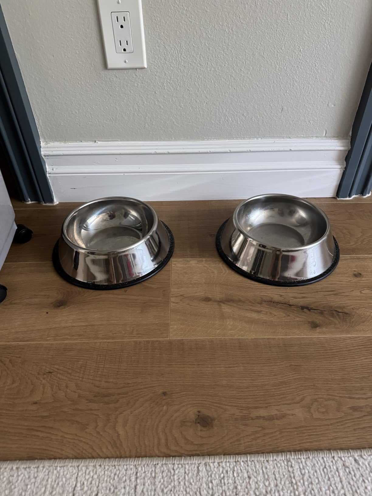 Amazon Basics Stainless Steel Dog Bowl, Single