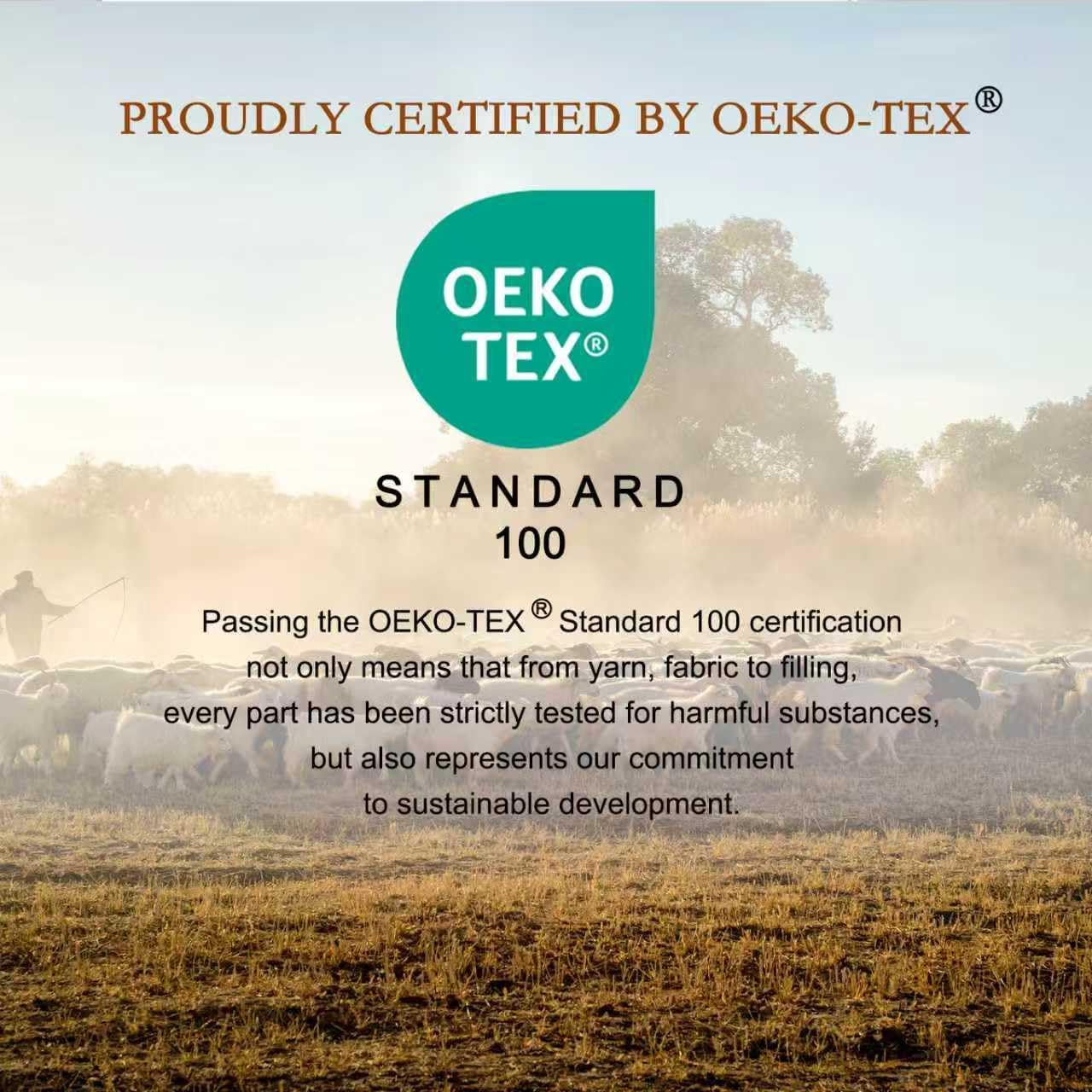 YOUR MOON Organic Wool Pillow Queen Size, Soft Support Bed Pillows for Sleeping, Natural Wool & Down Alternative Filling, Luxury Hotel Quality Pillows,100% Cotton Cover (Off White) - Image 7