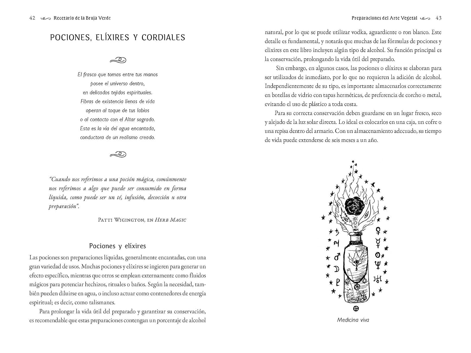 Recetario de la Bruja Verde: Fórmulas mágicas, medicinales y rituales del Sendero Esmeralda (Spanish Edition)