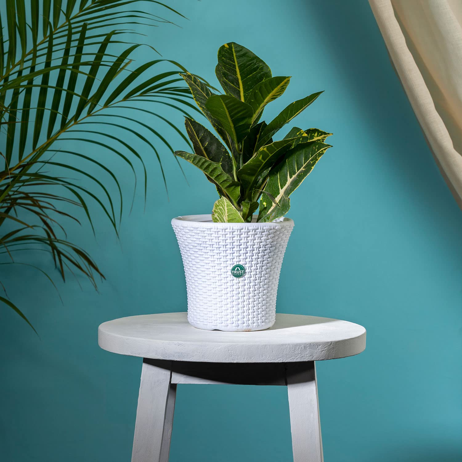 TrustBasket Helix Pot 7-inch Table Top Planter Pot (White) | Heavy Duty Plastic Indoor and Outdoor Planter for Home Decor. (B0C3CTSJ6C) Amazon Price History, Amazon Price Tracker