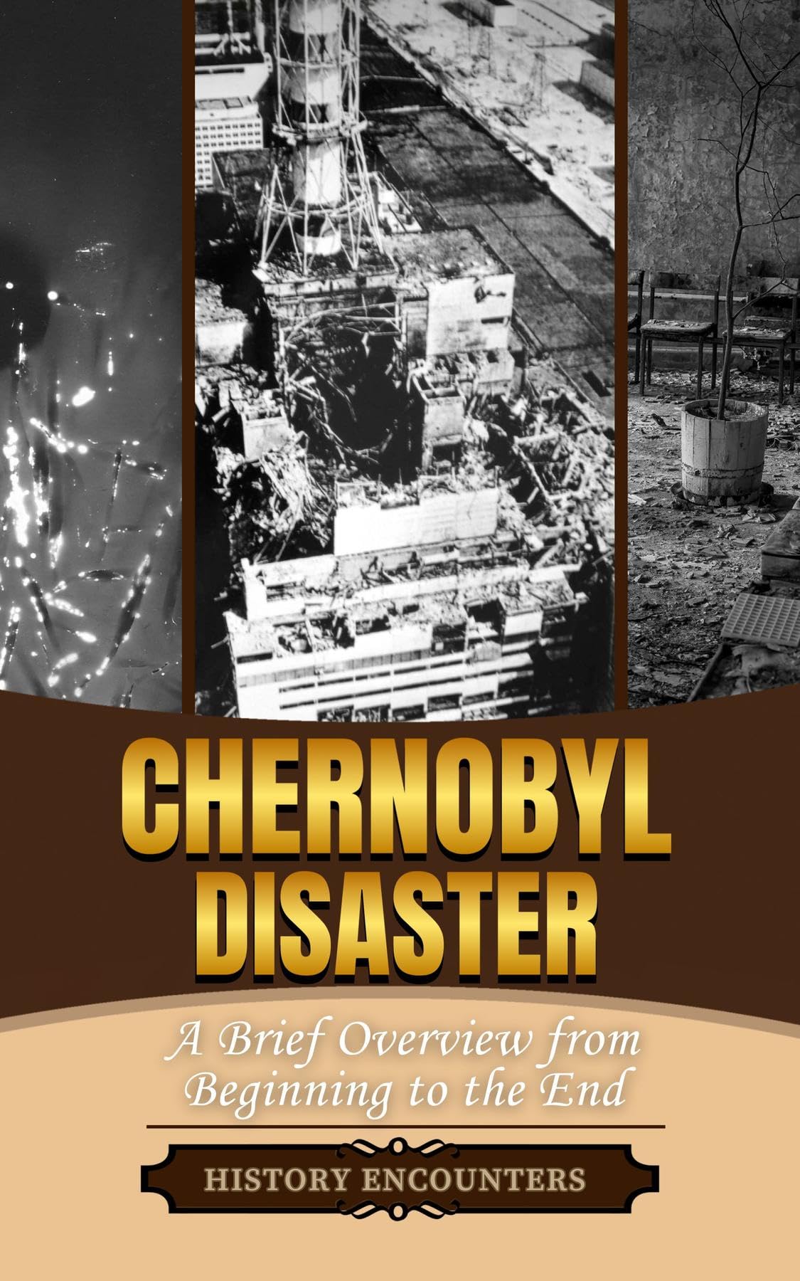 The Chernobyl Disaster: A Brief Overview from Beginning to the End