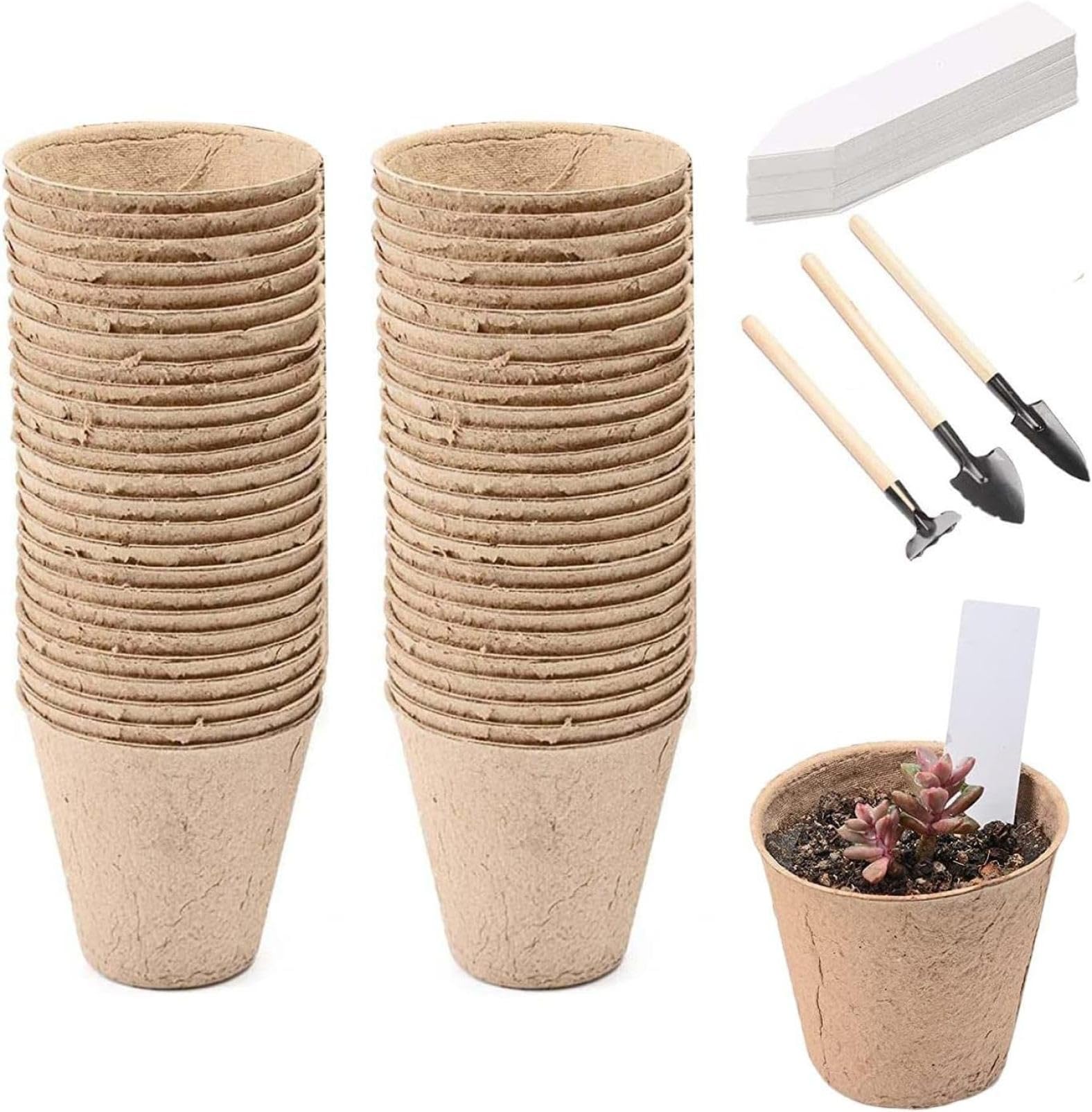 Amazon.co.jp: 育苗カップ 育苗ポット 栽培ポット 栽培鉢 定植育苗かご