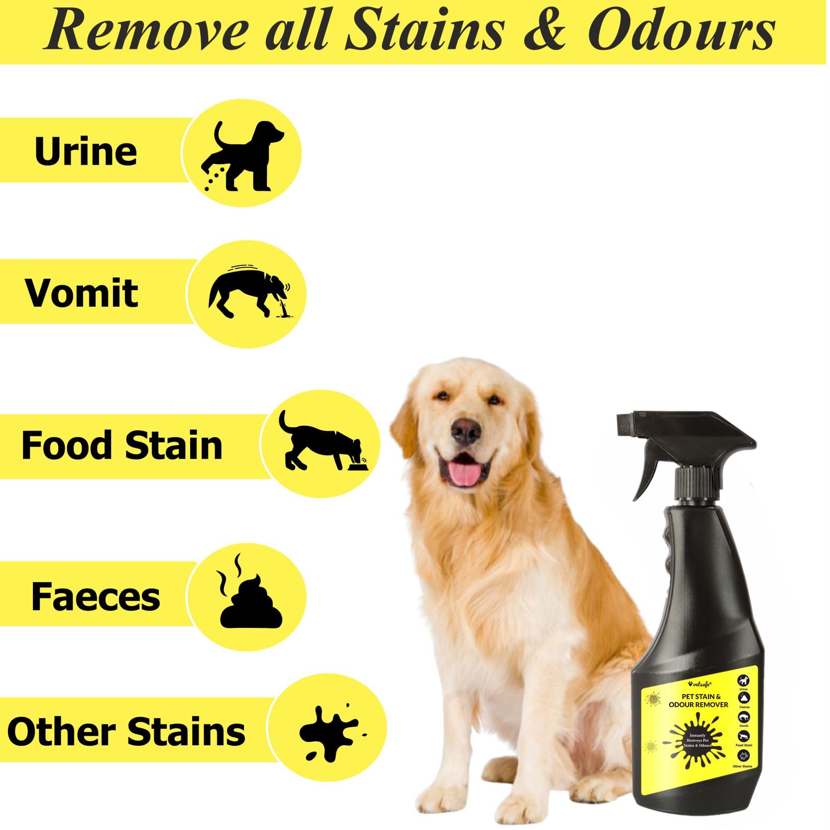 VetSafe Pet Stain & Odour Remover 500 ml | 3X Cleaning Power | Eliminates Tough Stains & Odours | Prevents Repeat Marking | Ideal for Feces, Urine, Vomit & Drool | Pet Area Cleaner 2