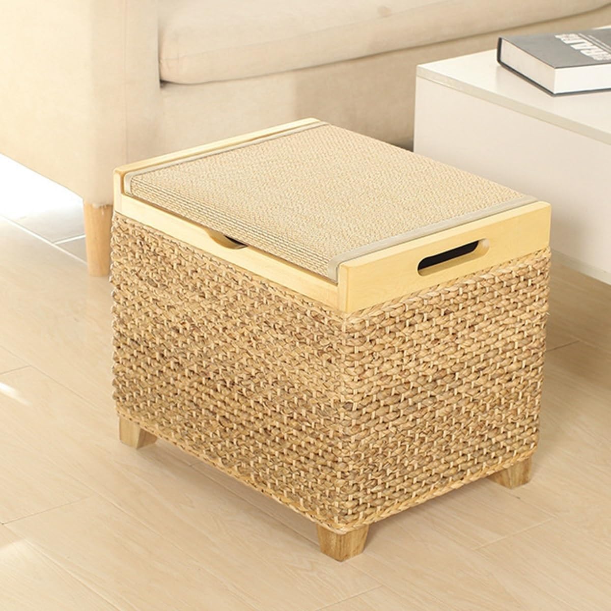 SDCFFC Entryway Storage Bench with Flip Lid Small Padded Shoe Rack Bench for Hallway & Living Room Beautiful