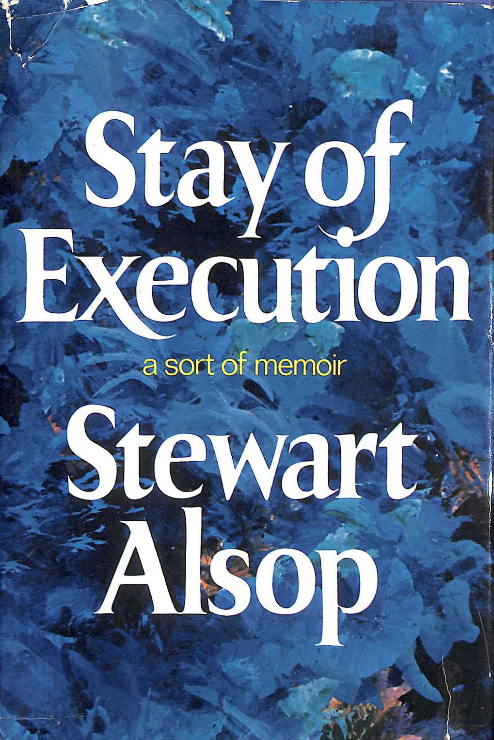 STAY OF EXECUTION A -SORT OF MEMOIR A sort of memoir cover
